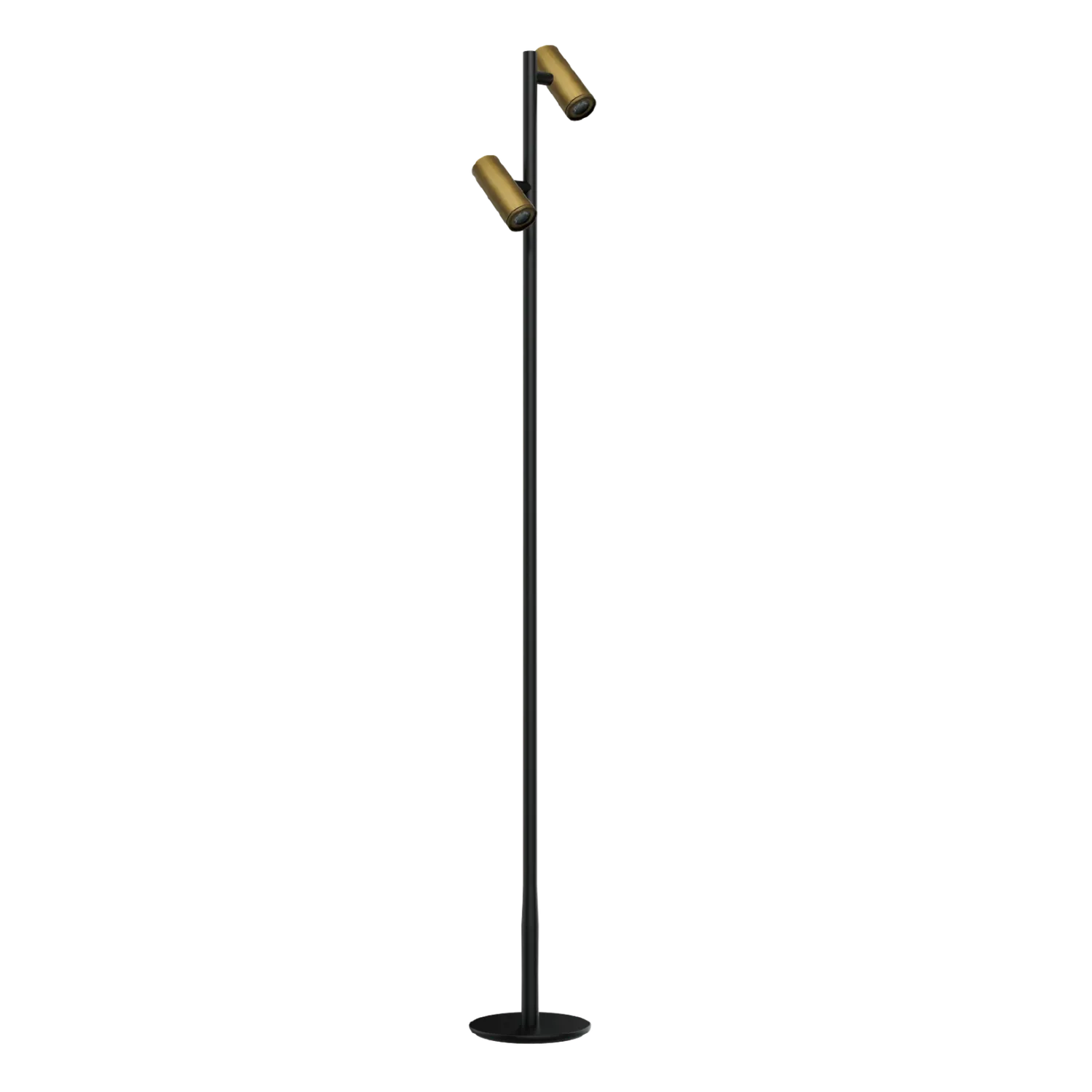 Tall black floor lamp with two adjustable brass heads on a slim central pole and round base.